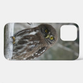 Nördlicher Zwergkauz iPhone 12 Hülle (Rückseite (Horizontal))