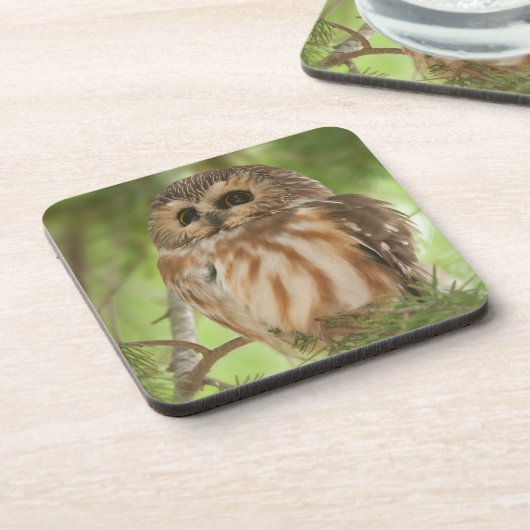 Nördliches Sägeruch Getränkeuntersetzer (Linke Seite)