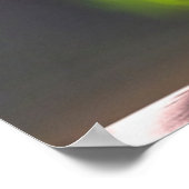 Nordlicht | Haukland Beach Island Norwegen Poster (Ecke)