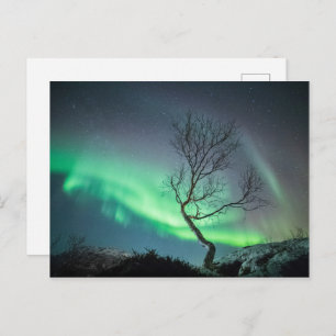 Nordlicht Postkarte