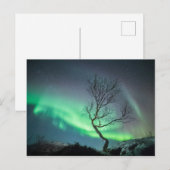 Nordlicht Postkarte (Vorne/Hinten)