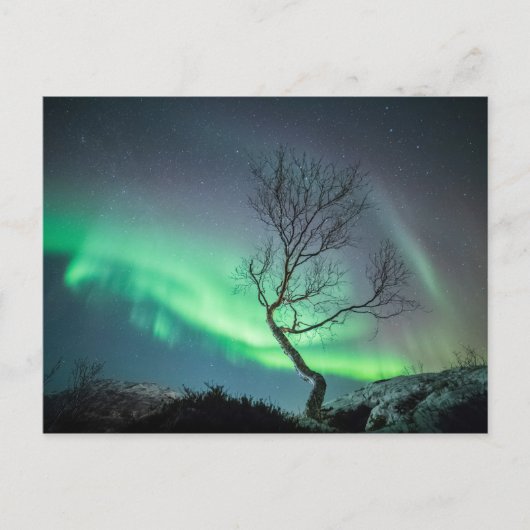 Nordlicht Postkarte (Vorderseite)