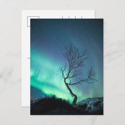 Nordlichtbaum Feiertagspostkarte (Vorne/Hinten)