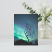 Nordlichtbaum Feiertagspostkarte (Stehend Vorderseite)