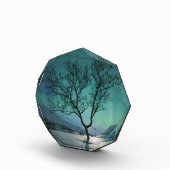 Nordlichtbaum Fotoblock (Rechts)