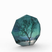 Nordlichtbaum Fotoblock (Links)