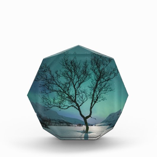 Nordlichtbaum Fotoblock (Vorderseite)