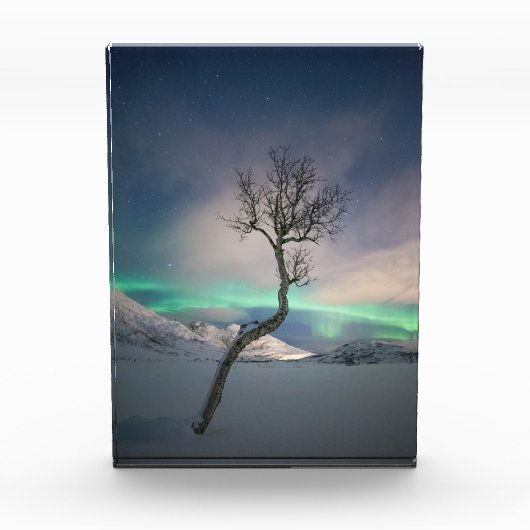 Nordlichtbaum Fotoblock (Vorderseite)