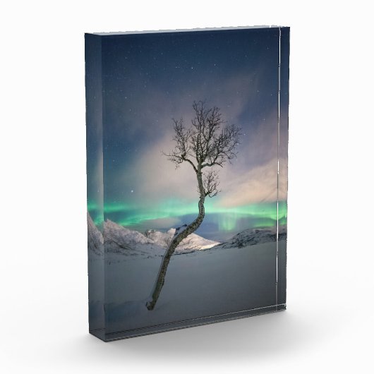 Nordlichtbaum Fotoblock (Links)