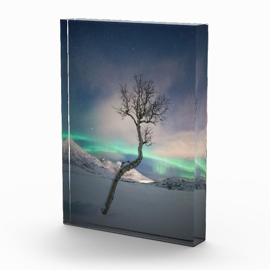 Nordlichtbaum Fotoblock (Rechts)