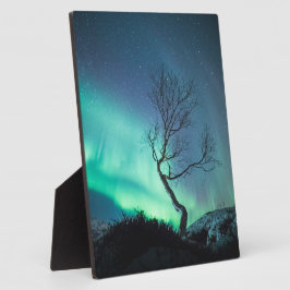 Nordlichtbaum Fotoplatte