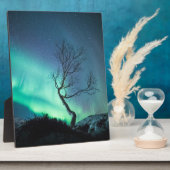 Nordlichtbaum Fotoplatte (Seite)