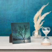 Nordlichtbaum Fotoplatte (InSitu)