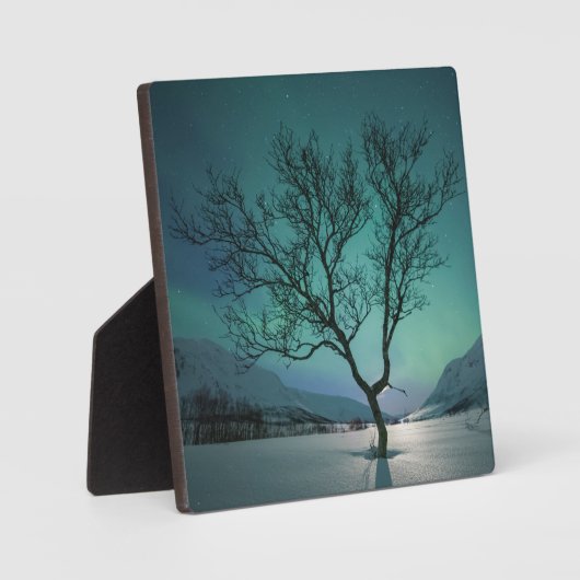 Nordlichtbaum Fotoplatte (Vorderseite)