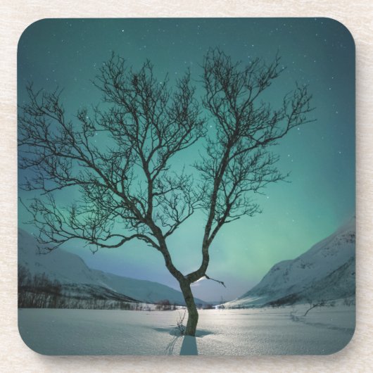 Nordlichtbaum Getränkeuntersetzer (Vorderseite)