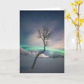 Nordlichtbaum Karte (Gelbe Blume)