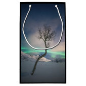 Nordlichtbaum Kleine Geschenktüte (Rückseite)