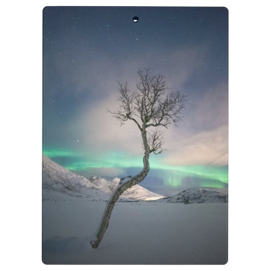 Nordlichtbaum Klemmbrett (Rückseite)
