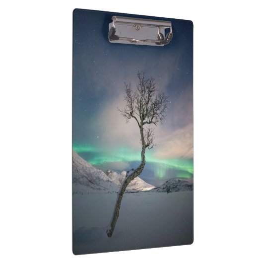 Nordlichtbaum Klemmbrett (Rechts)