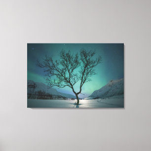 Nordlichtbaum Leinwanddruck