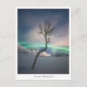 Nordlichtbaum Postkarte (Vorderseite)