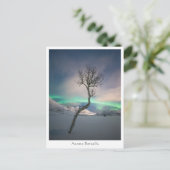 Nordlichtbaum Postkarte (Stehend Vorderseite)