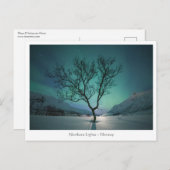 Nordlichtbaum Postkarte (Vorne/Hinten)