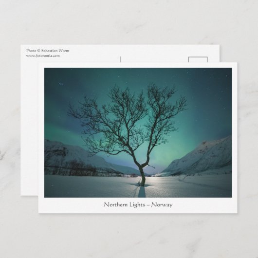 Nordlichtbaum Postkarte (Vorne/Hinten)