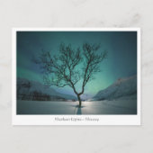 Nordlichtbaum Postkarte (Vorderseite)