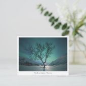 Nordlichtbaum Postkarte (Stehend Vorderseite)