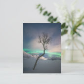 Nordlichtbaum Postkarte (Stehend Vorderseite)