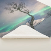 Nordlichtbaum Sherpadecke (3/4)