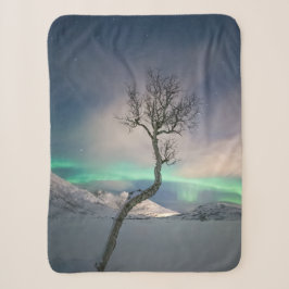 Nordlichtbaum Sherpadecke