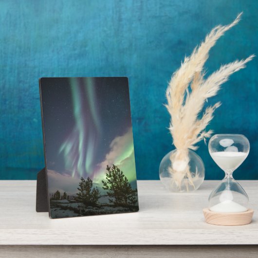 Nordlichtbäume Fotoplatte (Seite)