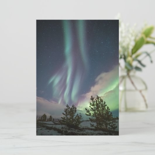 Nordlichtbäume Karte (Stehend Vorderseite)