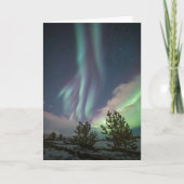Nordlichtbäume Karte (Vorderseite)