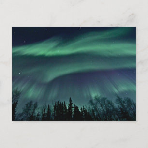Nordlichter Alaskas, ZTD Postkarte