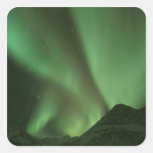 Nordlichter, Aurora borealis auf den Ausläufern Quadratischer Aufkleber