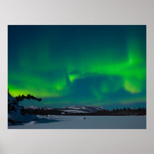 Nordlichter (Aurora borealis) Poster (Vorne)