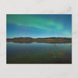 Nordlichter (Aurora borealis) Postkarte