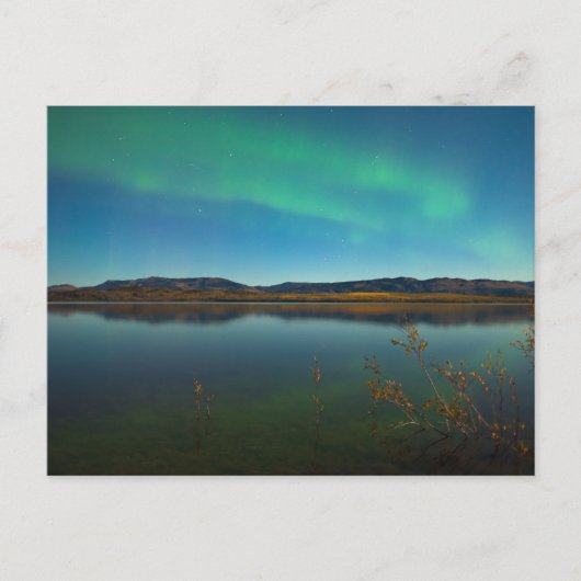 Nordlichter (Aurora borealis) Postkarte (Vorderseite)