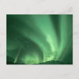 Nordlichter, Aurora borealis, über den Vorgebirgen Postkarte