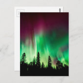 Nordlichter der Aurora borealis Postkarte (Vorne/Hinten)