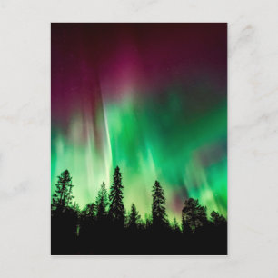 Nordlichter der Aurora borealis Postkarte