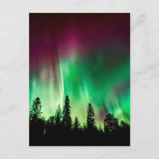 Nordlichter der Aurora borealis Postkarte