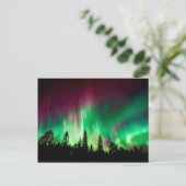 Nordlichter der Aurora borealis Postkarte (Stehend Vorderseite)