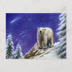 Nordlichter Eisbärenpostkarte Postkarte