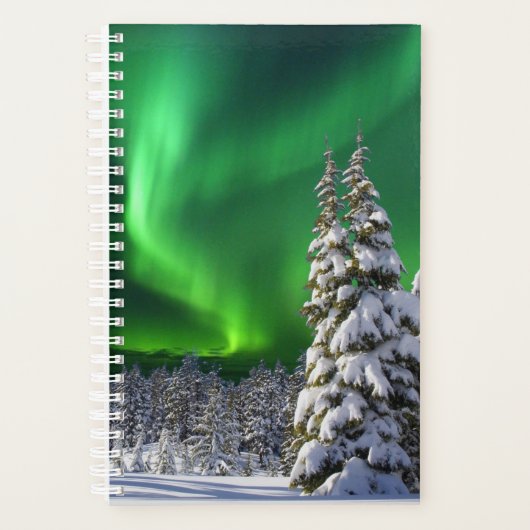 Nordlichter im Winter Planer (Vorderseite)