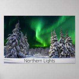 Nordlichter im Winter Poster