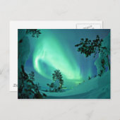 Nordlichter im Winter Postkarte (Vorne/Hinten)
